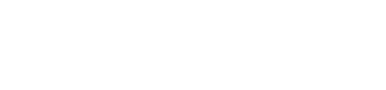 Insight Logo